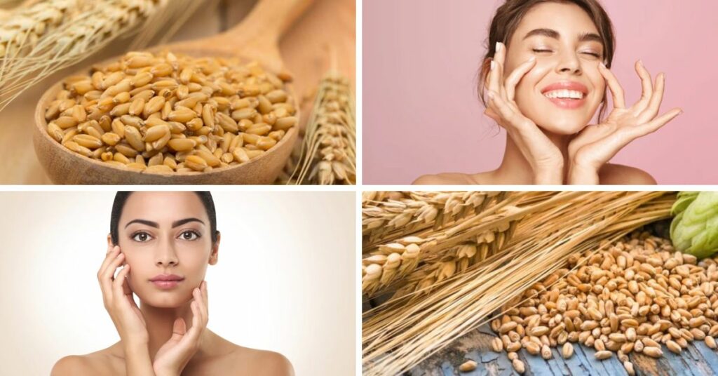 green barley benefits for skin        <h3 class=