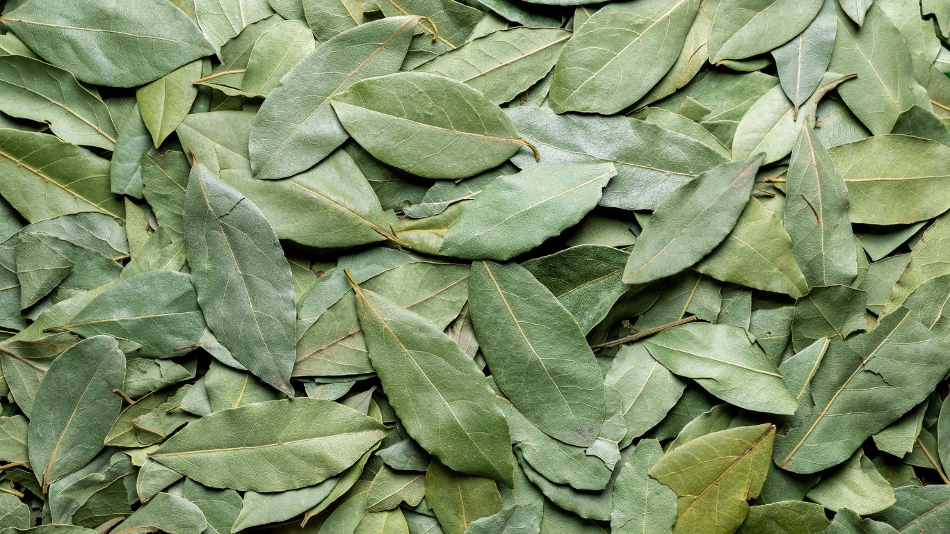 Natural Supplements to Improve Gum Health at Home