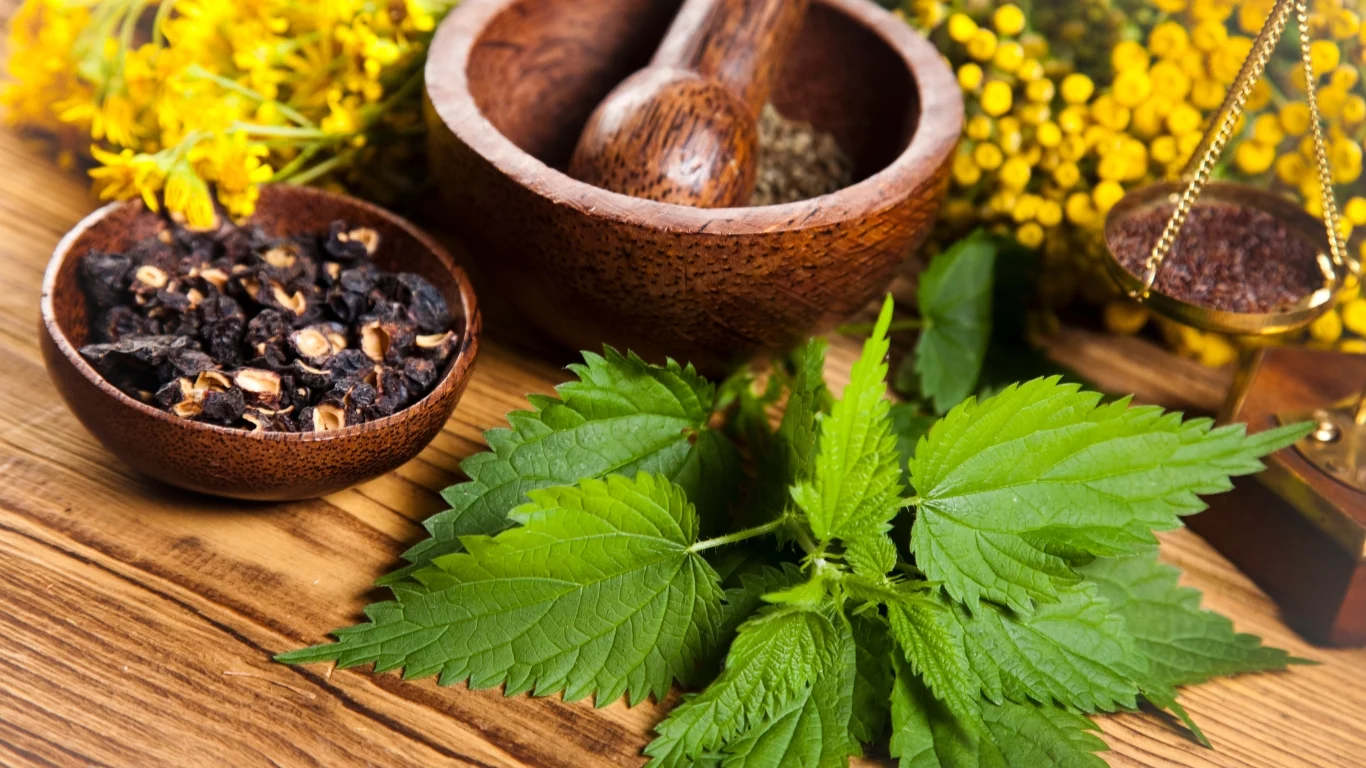 7 Best Changing Herbal Remedies Joint Pain